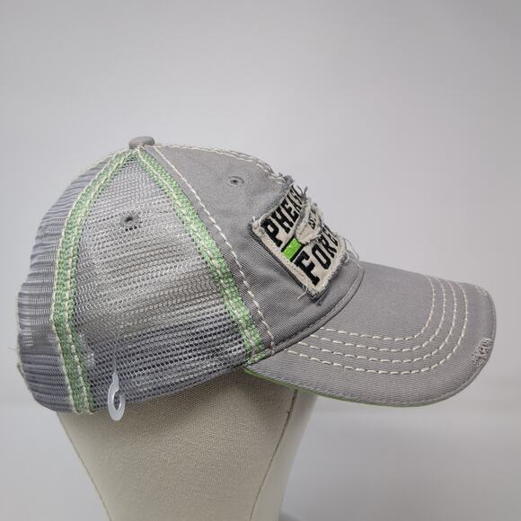 Pheasants Forever Strapback Trucker Hat Gray One Size Adjustable Distressed - Picture 5 of 9